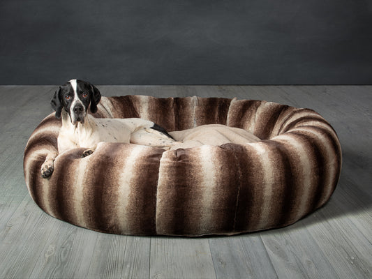 German Pointer dog looking warm and cosy in Collared Creatures gorgeous, luxury brown deluxe donut dog bed