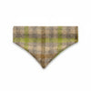 Abraham Moon, Bibury-Lichen, Luxury Dog Bandana