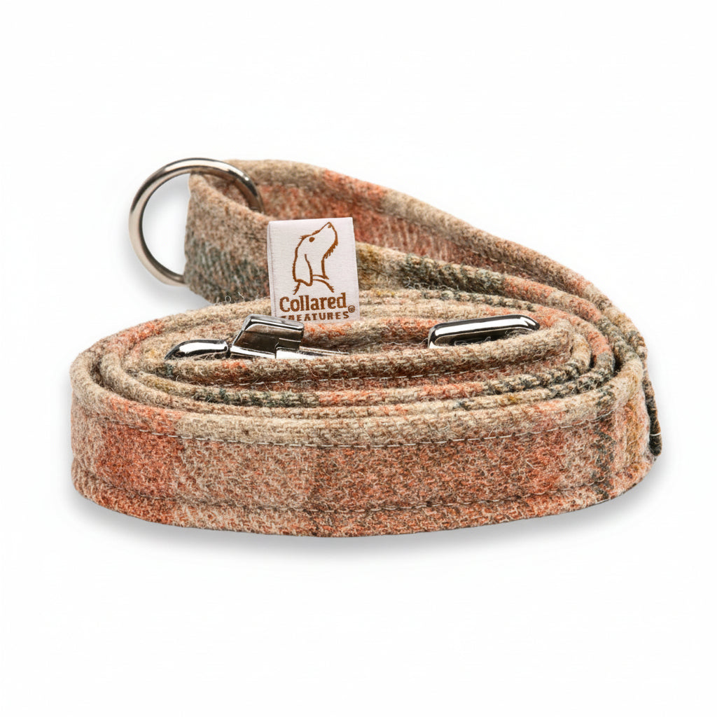 Collared Creatures Abraham Moon Glen Coe Terracotta Luxury Dog Lead. Bespoke Handmade Heritage Dog Lead. Made in Britain.