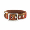 Autumnal Check - Buckle Fastening Luxury Harris Tweed Dog Collar