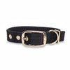 Baird Modern - Buckle Fastening Luxury Dog Collar
