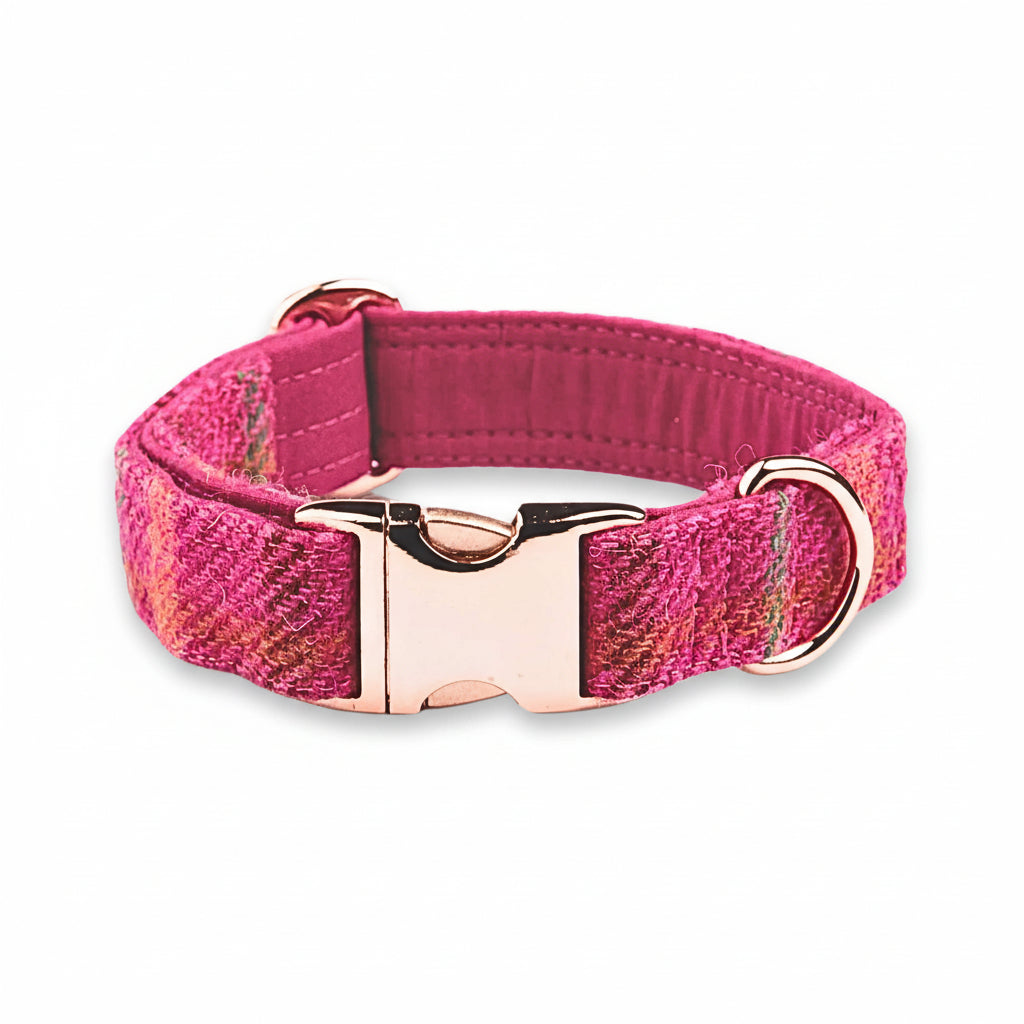 Cerise Check Harris Tweed Dog Collar by Collared Creatures - Luxury Handmade Harris Tweed Dog Collar, Durable & Stylish, Available in Multiple Sizes