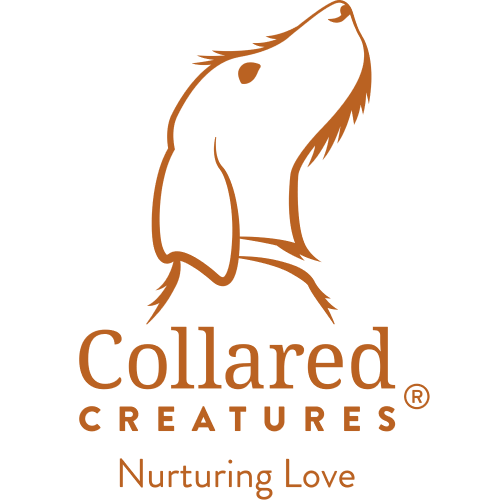 Collared Creatures