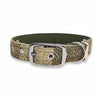 Grüner Block Herringbone - Schnallenverschluss Luxus Harris Tweed Hundehalsband