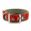 Orange & Olive Check - Buckle Fastening Luxury Harris Tweed Dog Collar
