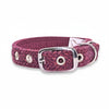 Raspberry & Coral Herringbone - Buckle Fastening Luxury Harris Tweed Dog Collar