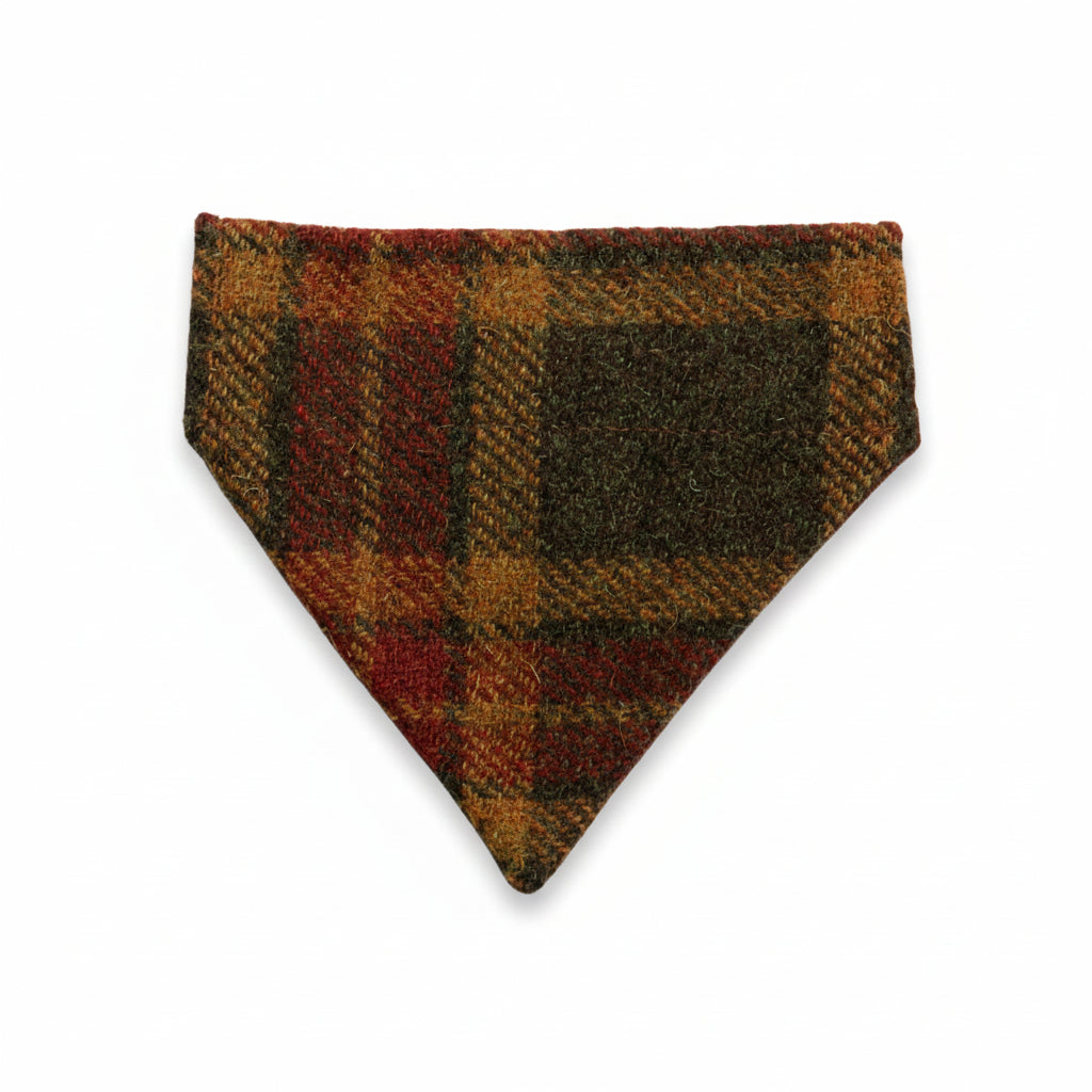 Herbstliches Karo-Harris Tweed-Hundetuch mit Halsbandschieber