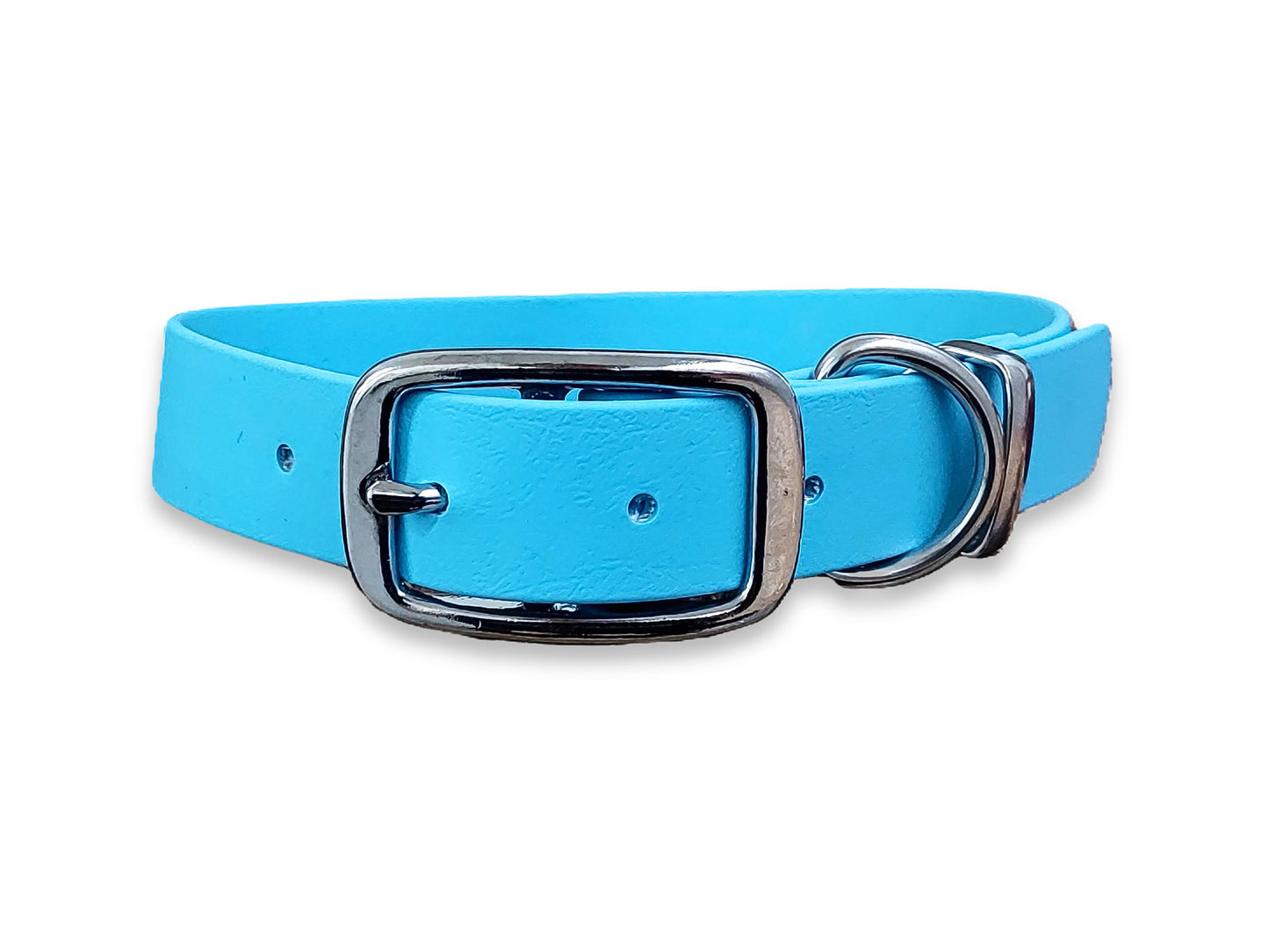 Waterproof and durable Baby Blue Biothane dog collar with sturdy buckle fastening – by Collared Creatures
