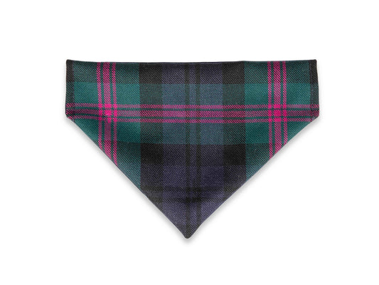 Baird Modern Tartan Harris Tweed dog bandana on collar