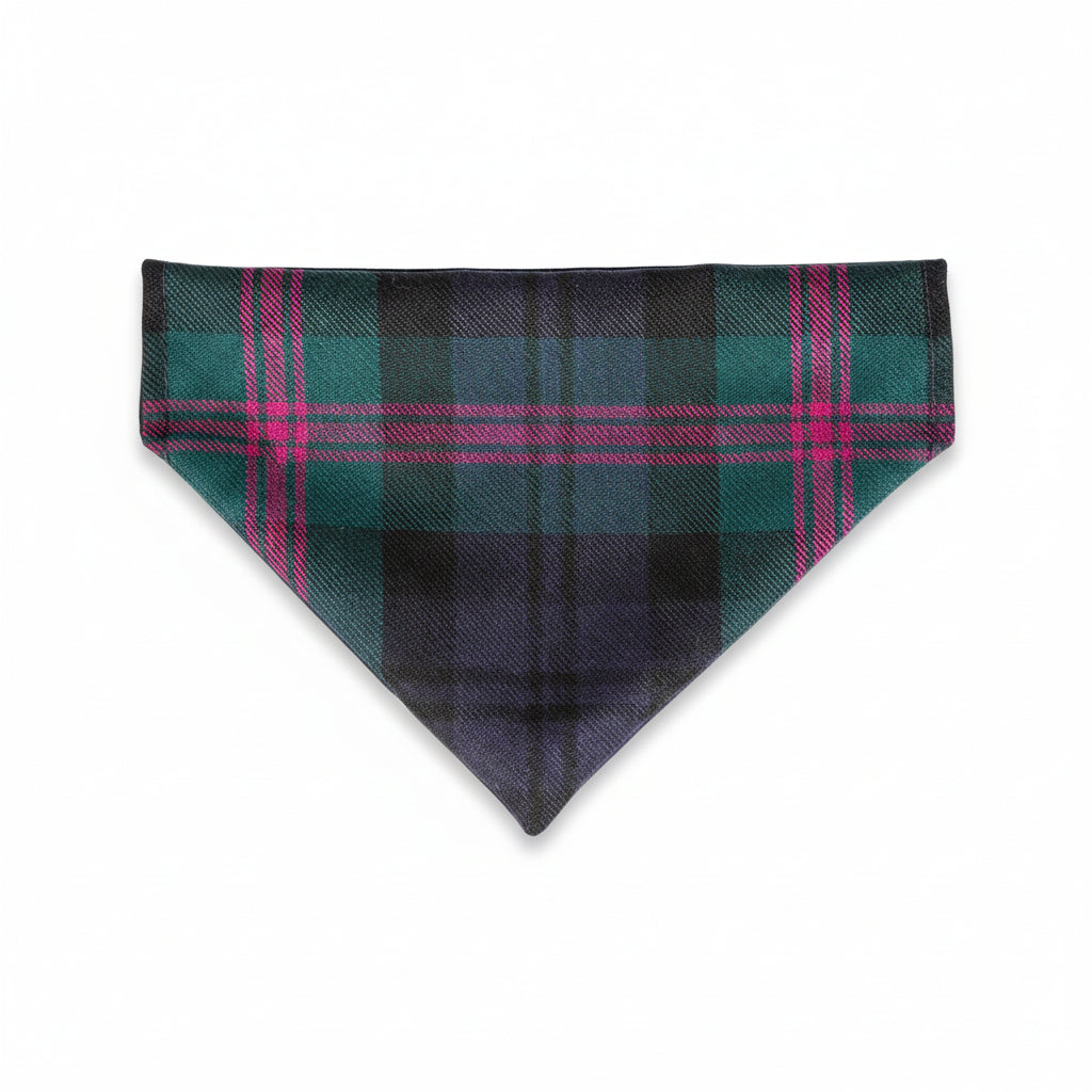 Baird Modern Tartan Harris Tweed dog bandana on collar