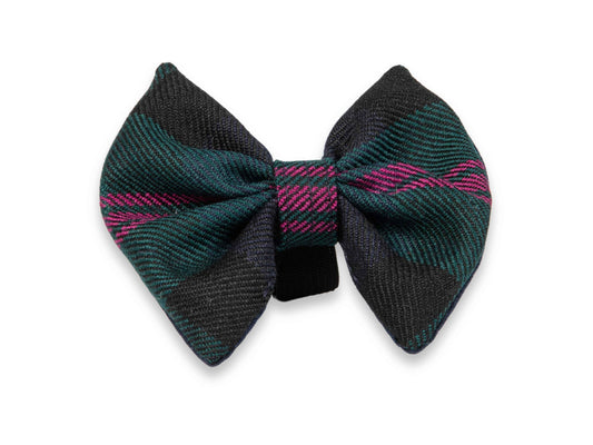 Baird Modern Tartan dog bow tie – handmade from heritage tweed with elastic loop for easy collar fit