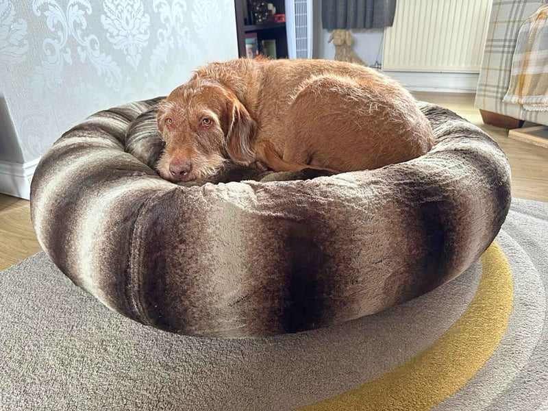 How to Choose the Right Donut Bed Size for Your Dog