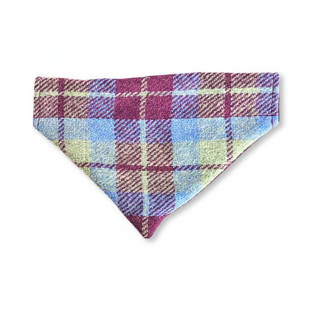 Burgundy and blue check Harris Tweed dog bandana over collar