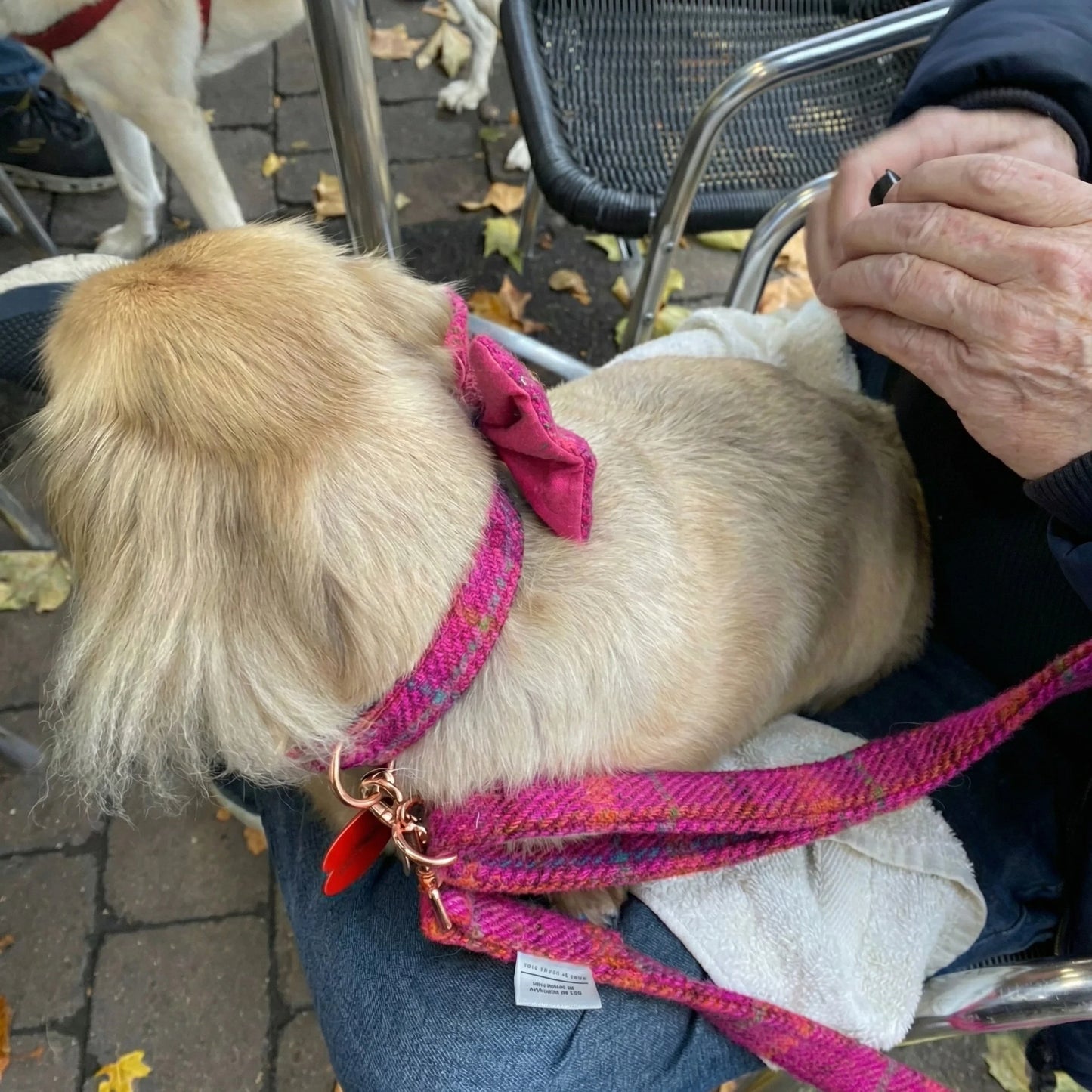 Cerise Check Luxury Harris Tweed Dog Lead - Collared Creatures LTD