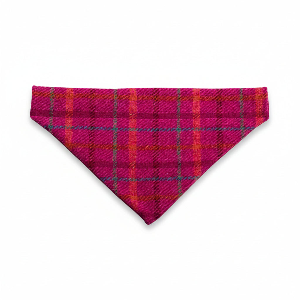 Cerise check Harris Tweed dog bandana on collar