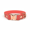 Collier pour chien en biothane imperméable Coral Small Breed 21cm à 28cm de cou