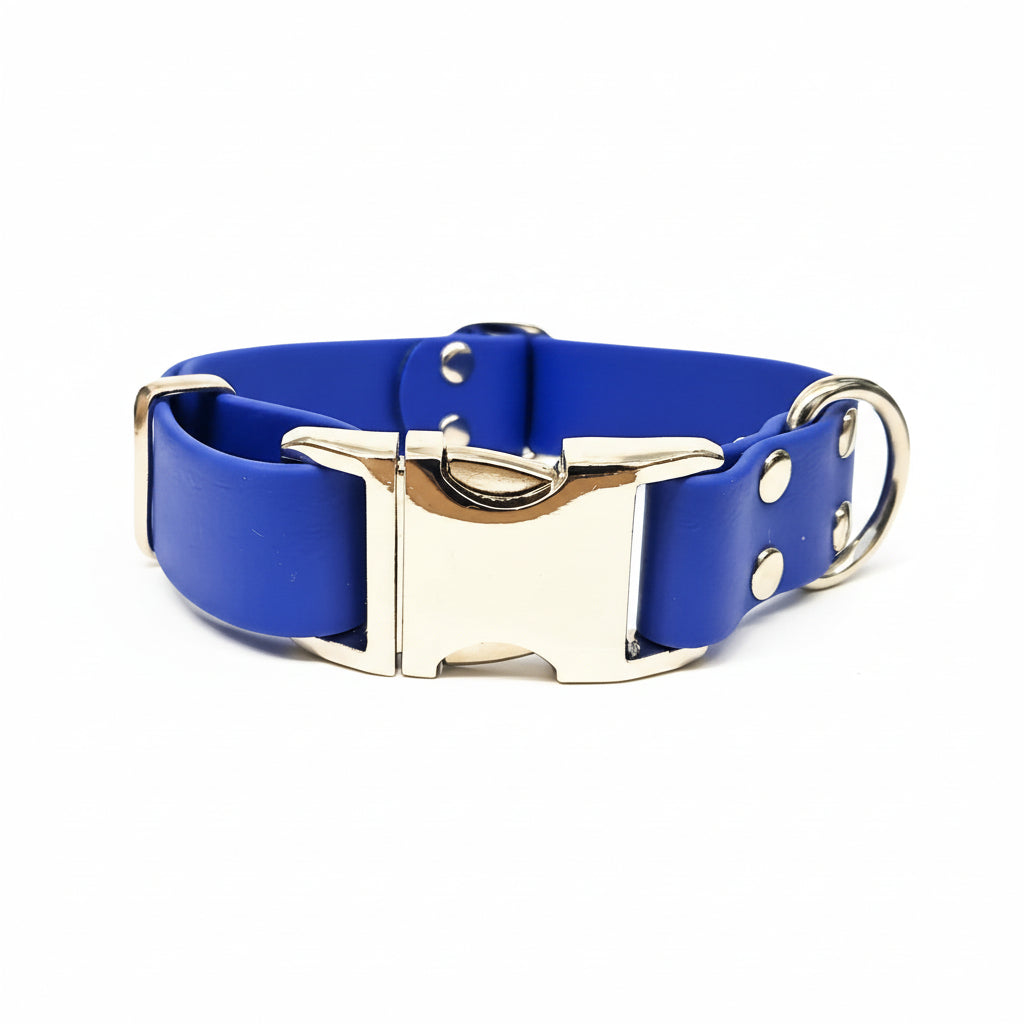 Electric Blue Waterproof Dog Collar – Biothane Engraved Clasp