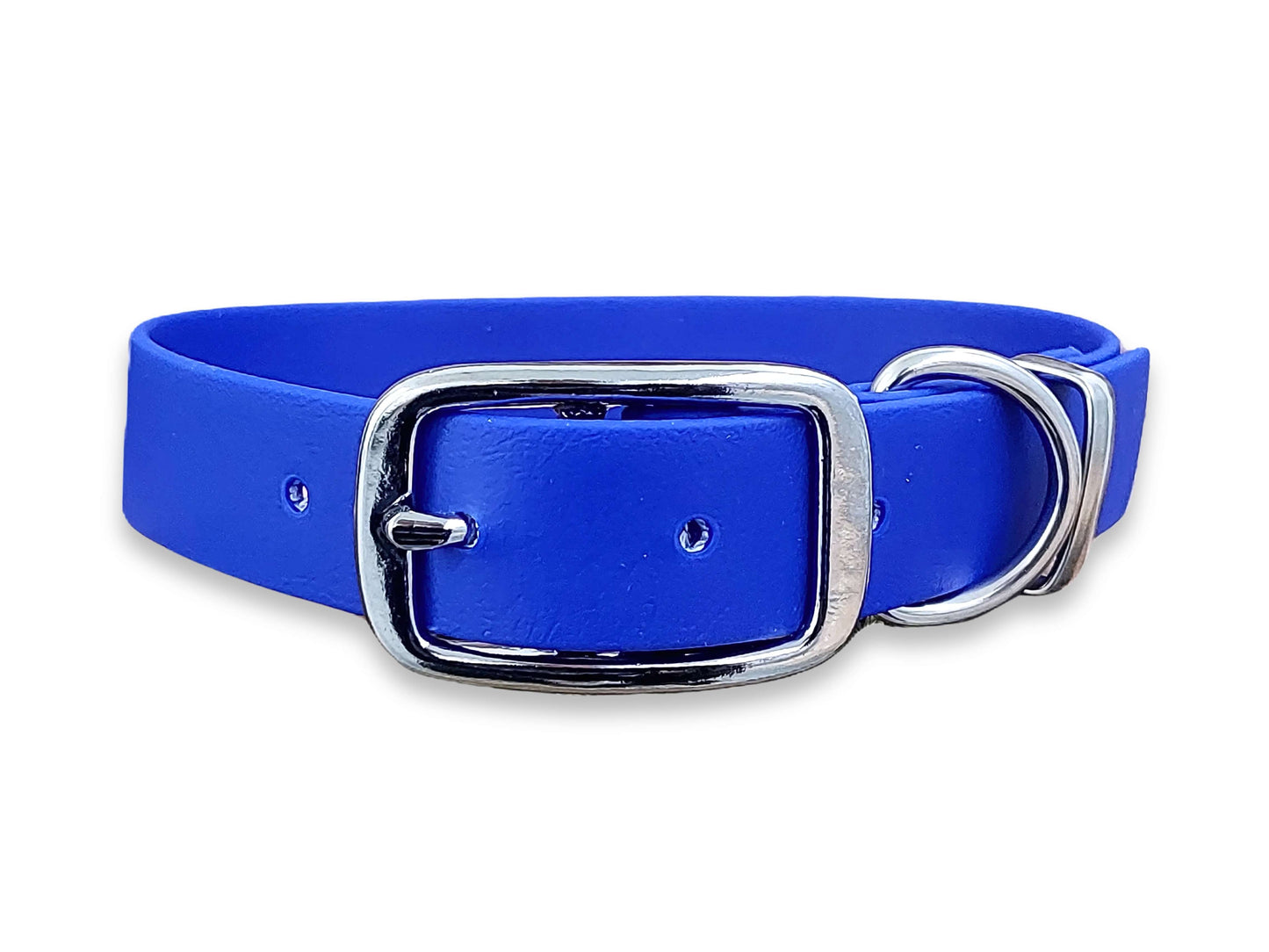 Electric Blue waterproof Biothane buckle dog collar – odour-free, flexible and perfect for outdoor dogs – by Collared Creatures