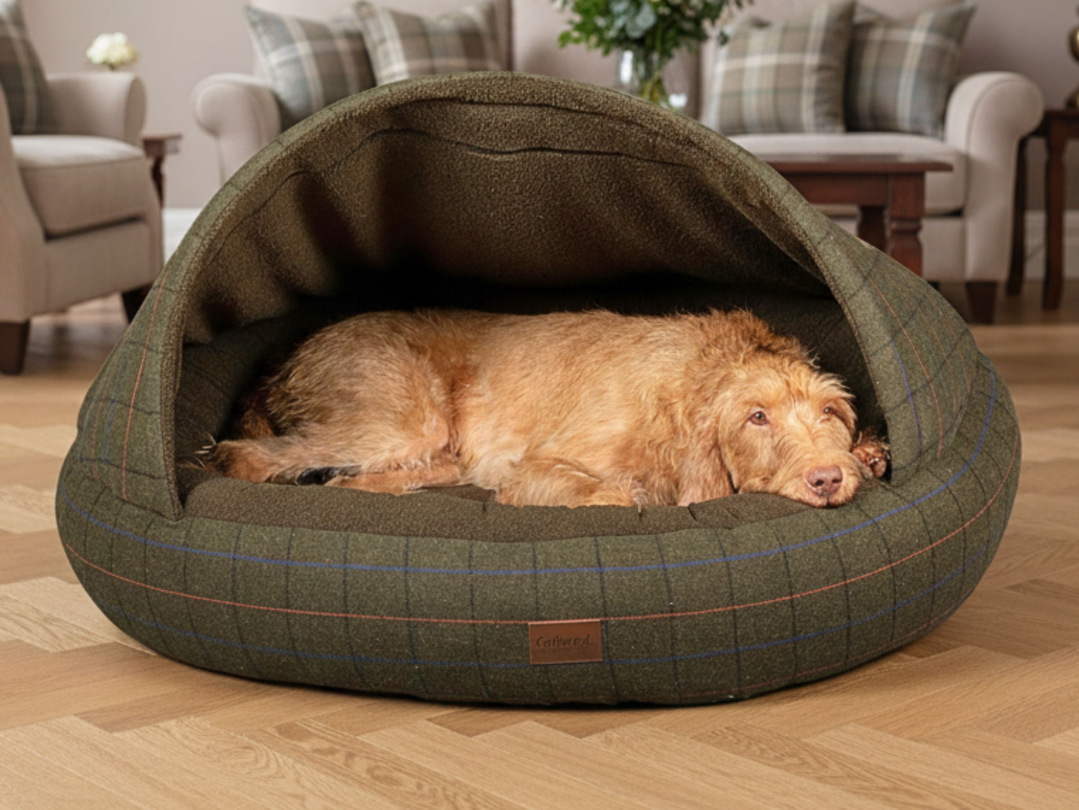 Green Cocoon Dog Bed – Covered, Cosy Calming Bed for All Breeds