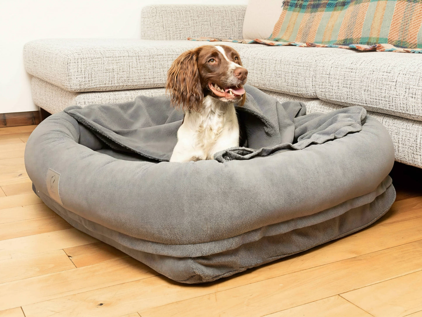 Dog relaxing in bolster dog bed with partially folded hood and raised supportive sides