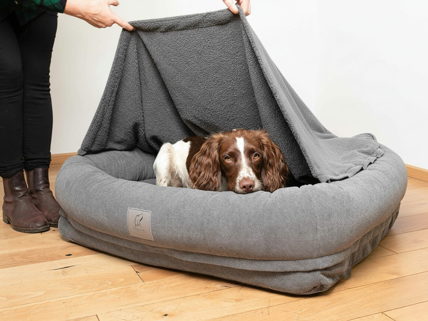 Spaniel resting inside a grey bolster dog bed while the removable hood is partially lifted.