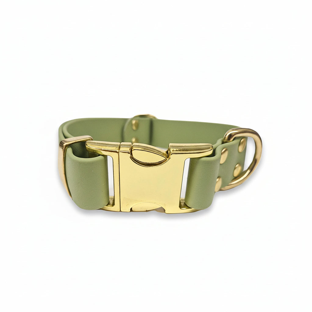 Guacamole Biothane clasp collar – water-repellent, odour-free, and built for muddy adventures – by Collared Creatures