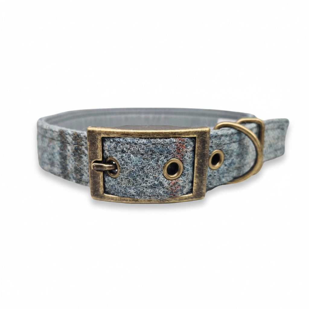 Dog collar with a textured abraham moon fabric design and brass buckle on a white background