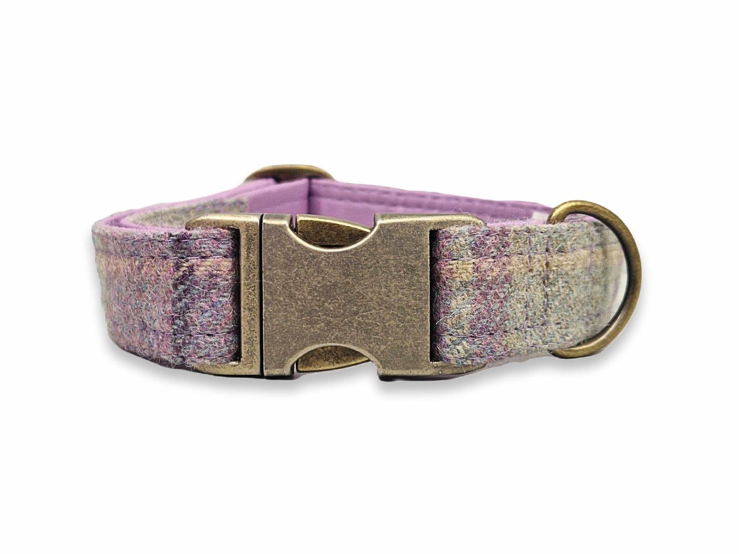Dog collar with purple and gray pattern and brass buckle on a white backgroundbackground