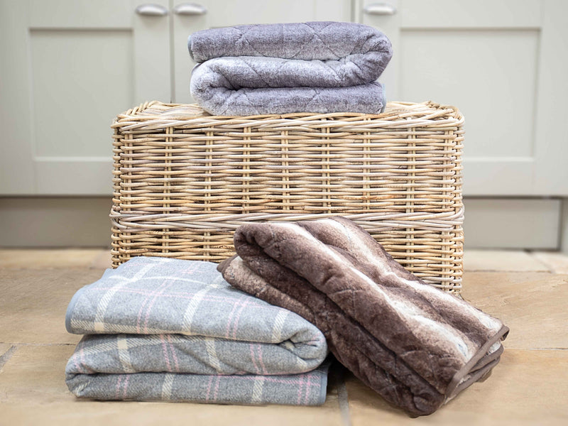 Does Your Dog’s Blanket Ruin the Look of Your Room?