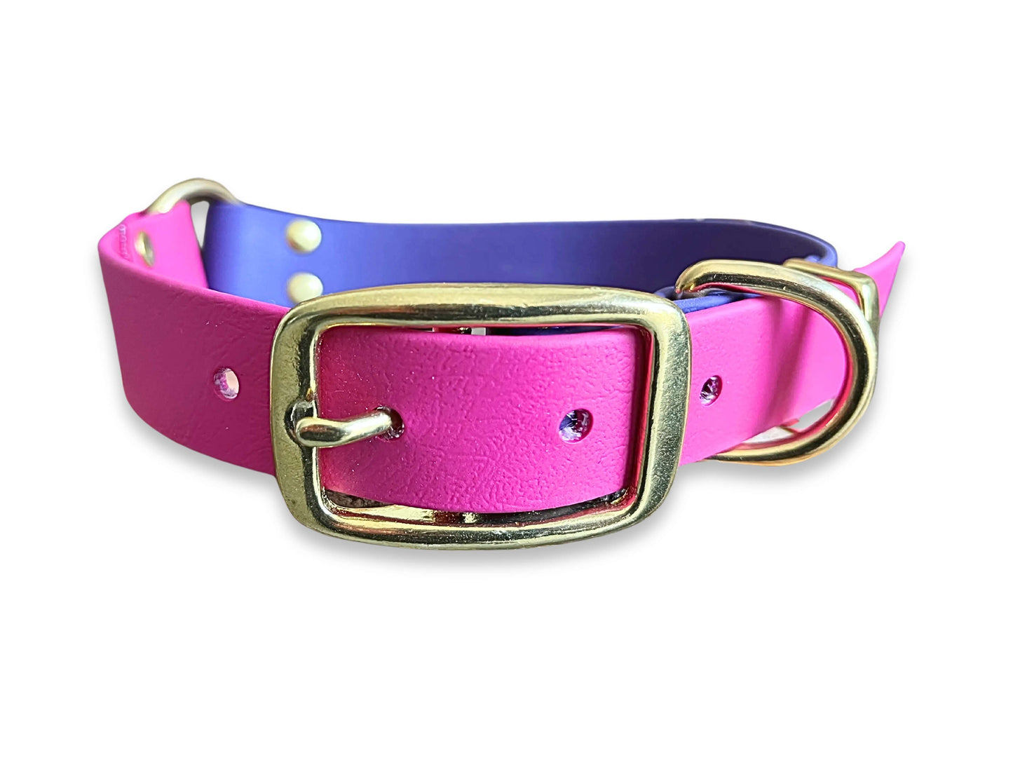 Waterproof and durable Magenta & Violet Multicolour Biothane dog collar with sturdy buckle fastening – by Collared Creatures