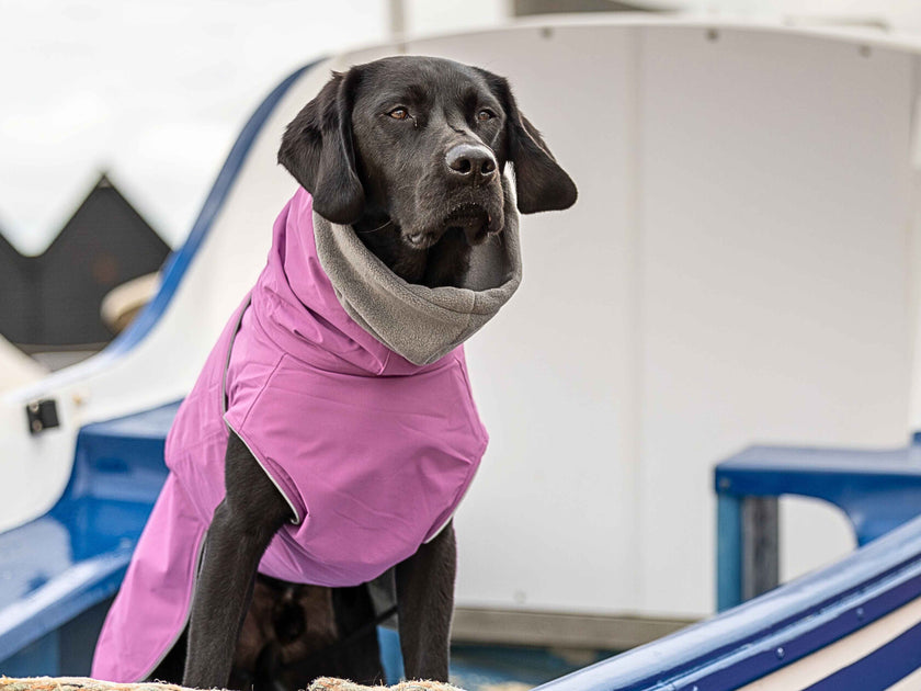 waterproof-dog-coats-uk-adjustable-fleece-lined-reflective-trim