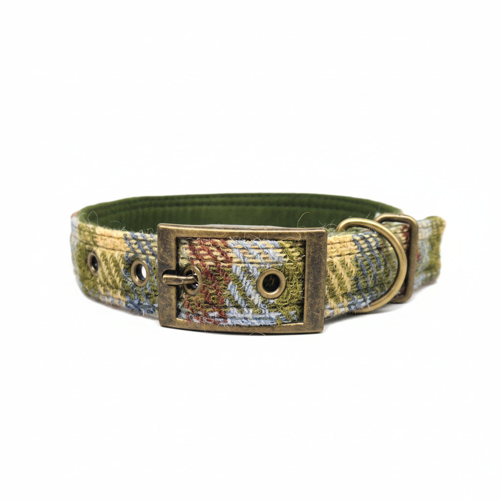 Dog collar with a woven pattern and brass buckle on a white background
