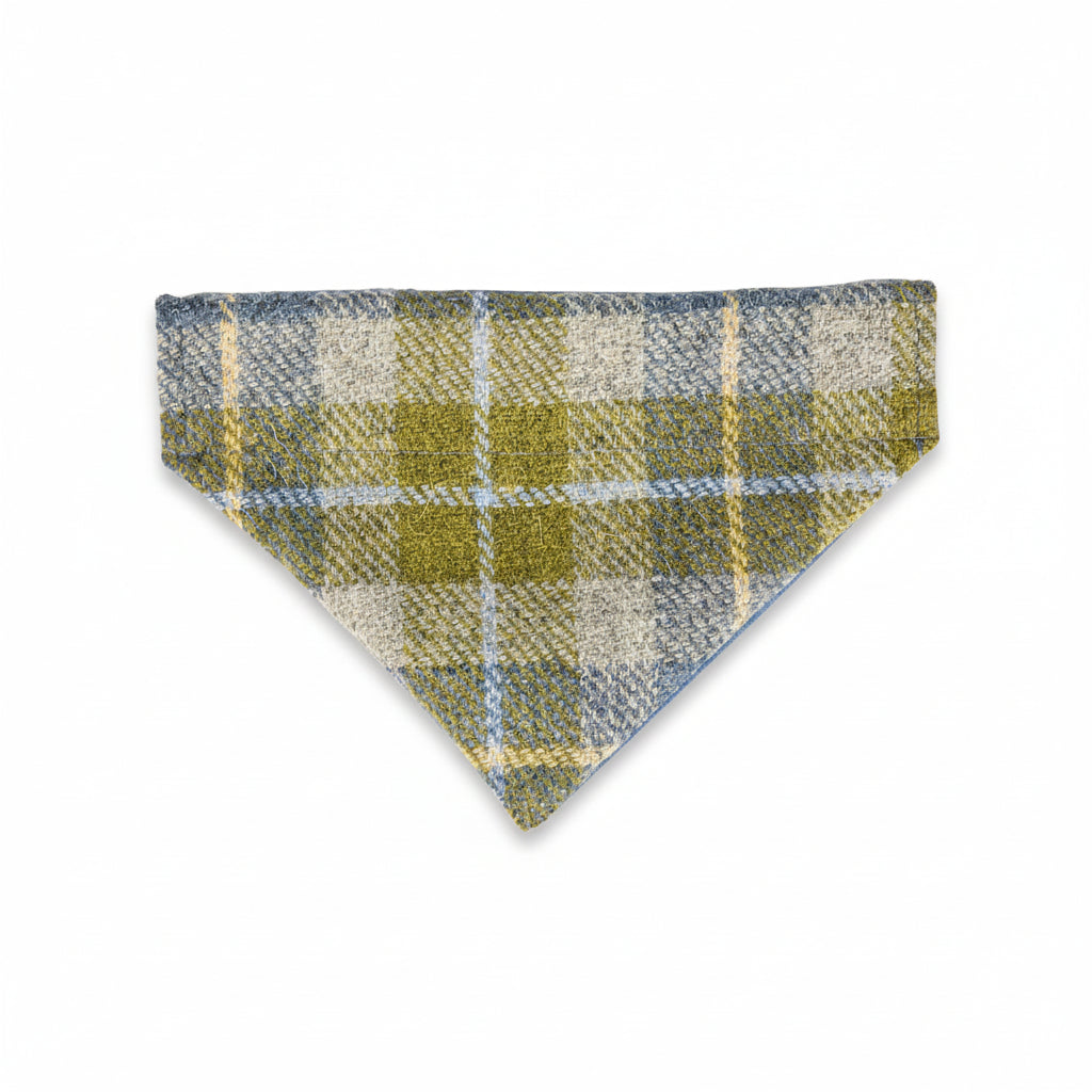 Mustard and blue Harris Tweed dog bandana for special occasions like birthdays and weddings