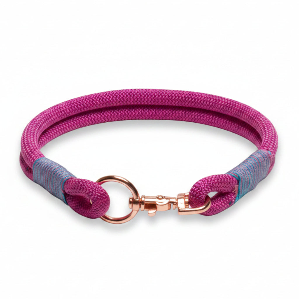 Pink and blue braided dog collar with rose gold clasp on a white background