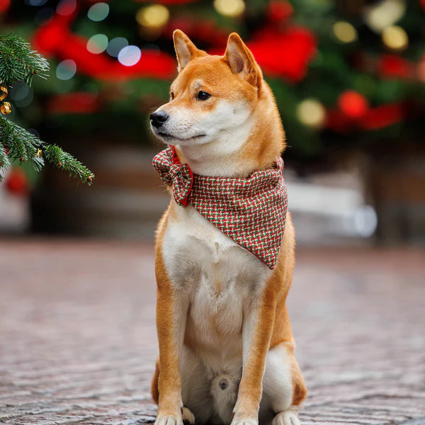 Christmas Houndstooth Harris Tweed Dog Collar