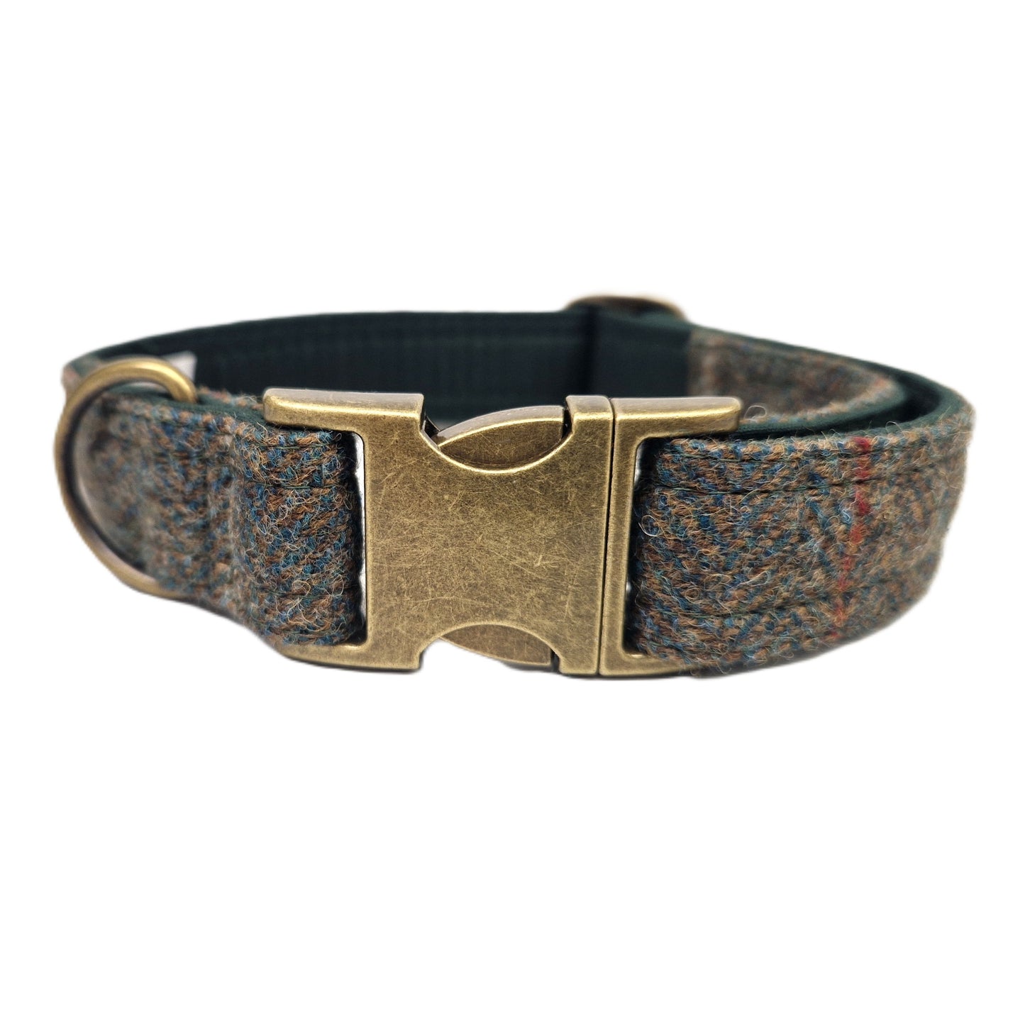 Dog collar with brass buckle on a white background