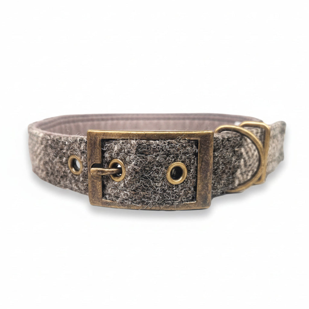 Dog collar with textured harris tweed and brass buckle on a white background