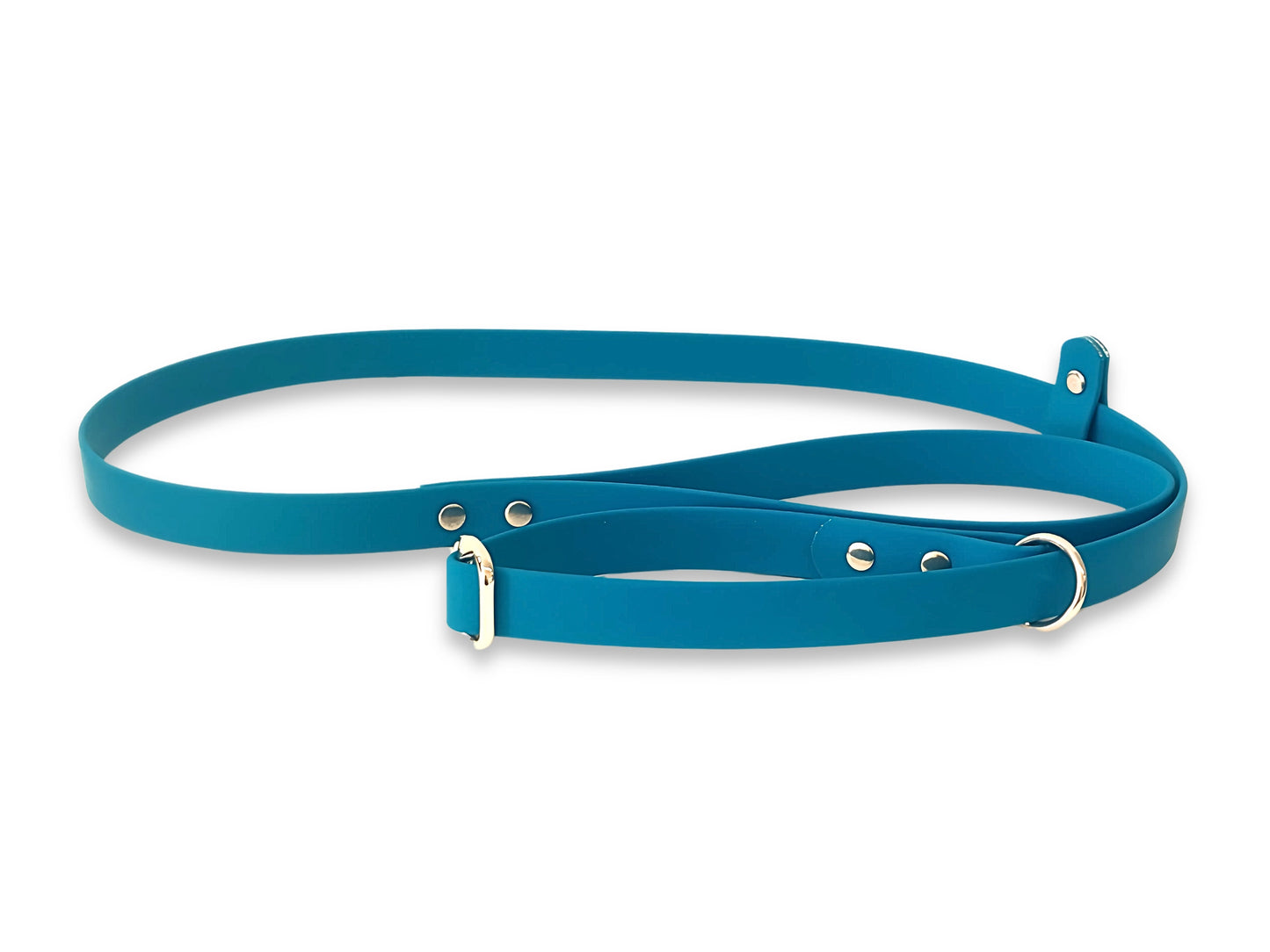Türkisfarbene wasserdichte Biothane Hundeleine, leicht und einfach zu reinigen