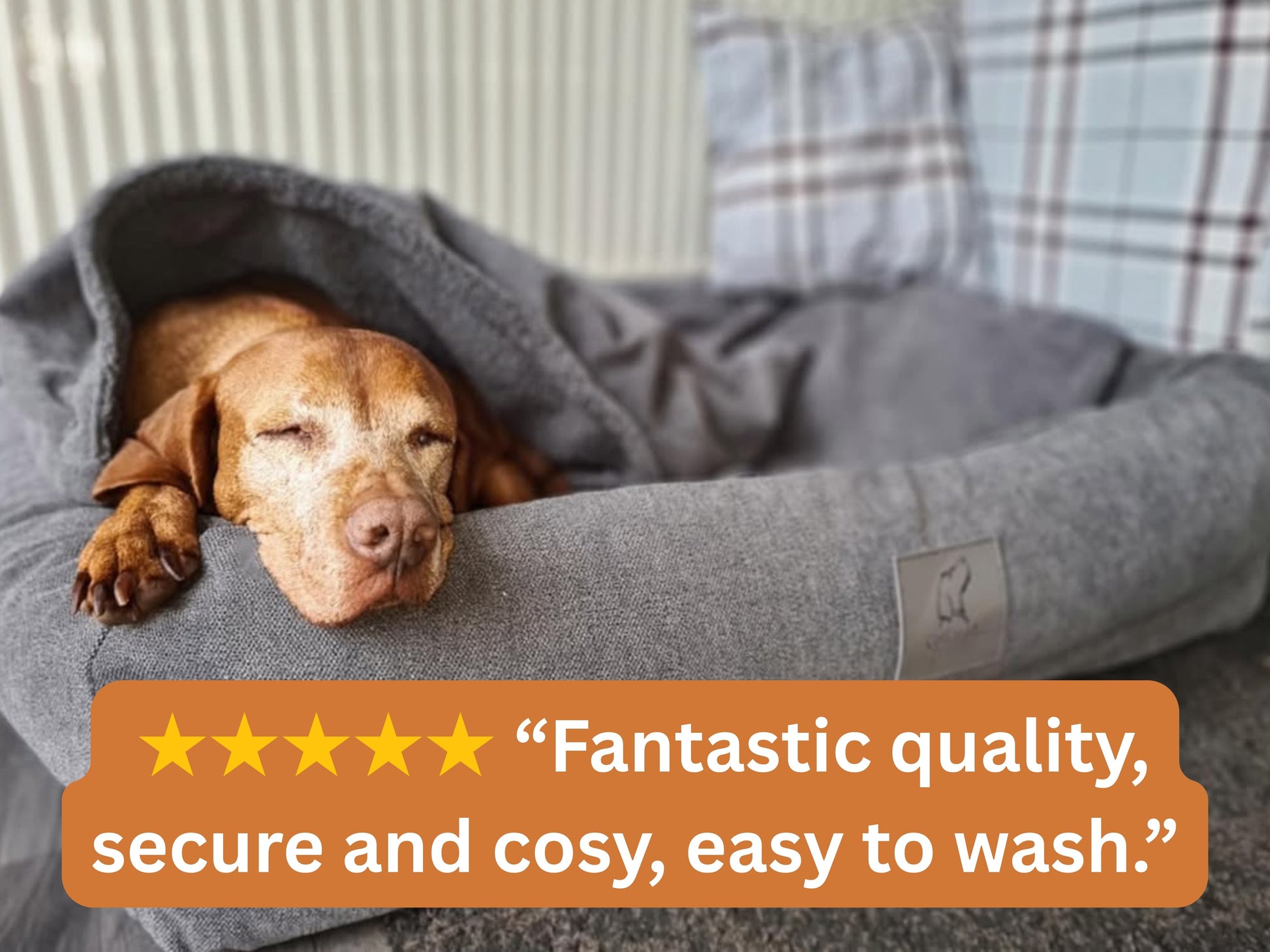 Vizsla sleeping peacefully inside a grey hooded bolster dog bed, looking secure and comfortable.
