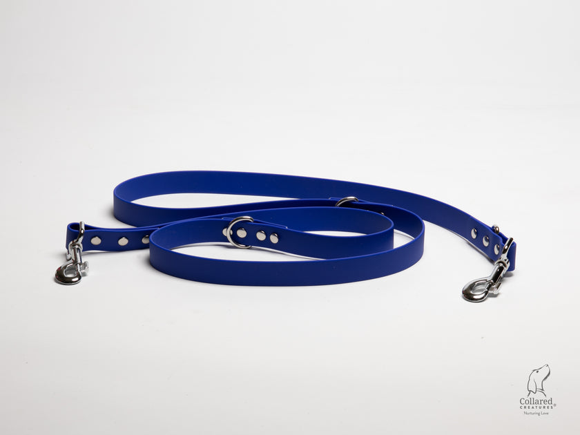 Electric Blue Waterproof Biothane Dog Training Lead Collared