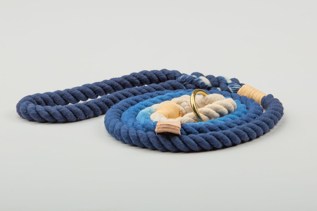 Luxury blue Ombre rope dog clip lead and dog slip lead