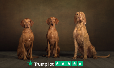 Reaching a landmark with a 1000 reviews on Trustpilot