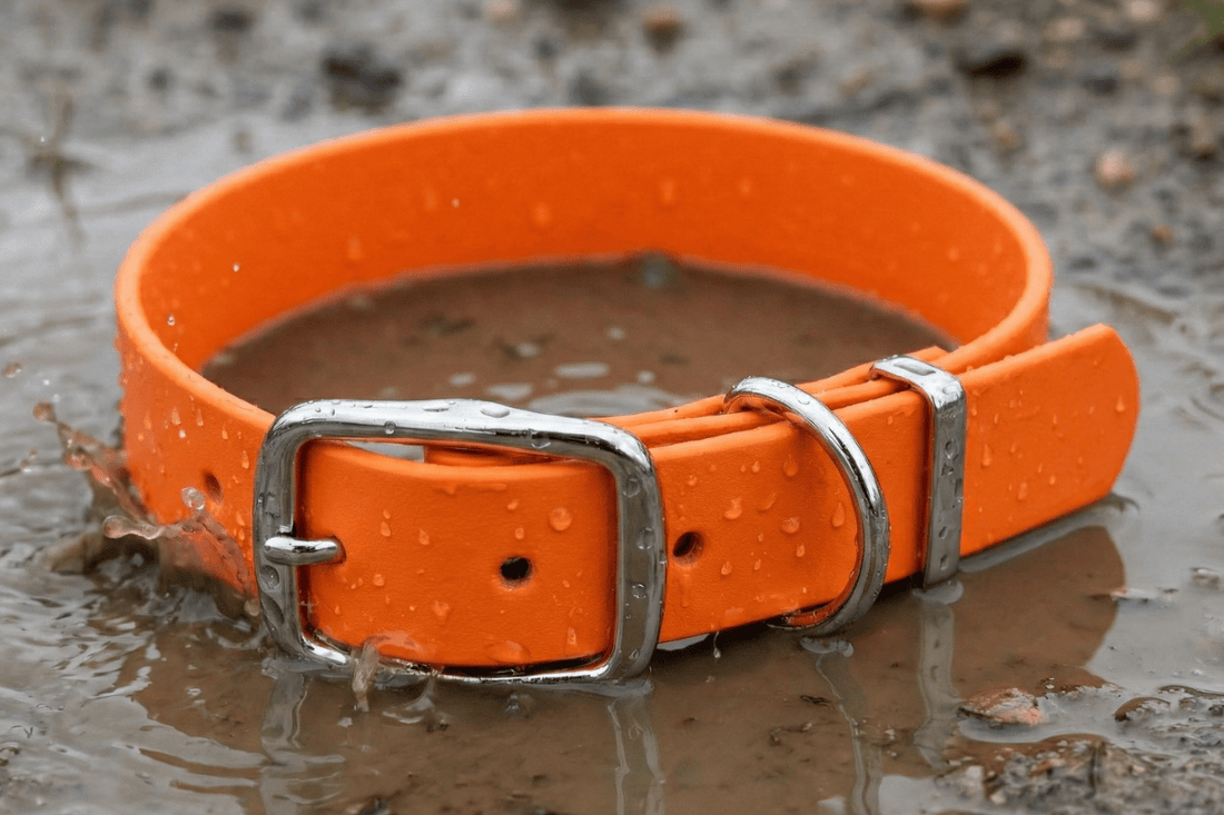 Orange waterproof Biothane dog collar with water droplets in a muddy puddle