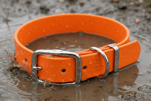 Orange waterproof Biothane dog collar with water droplets in a muddy puddle