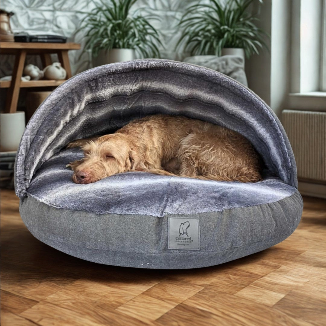 Dog sleeping inside Collared Creatures Cave Bed with removable hooded cover