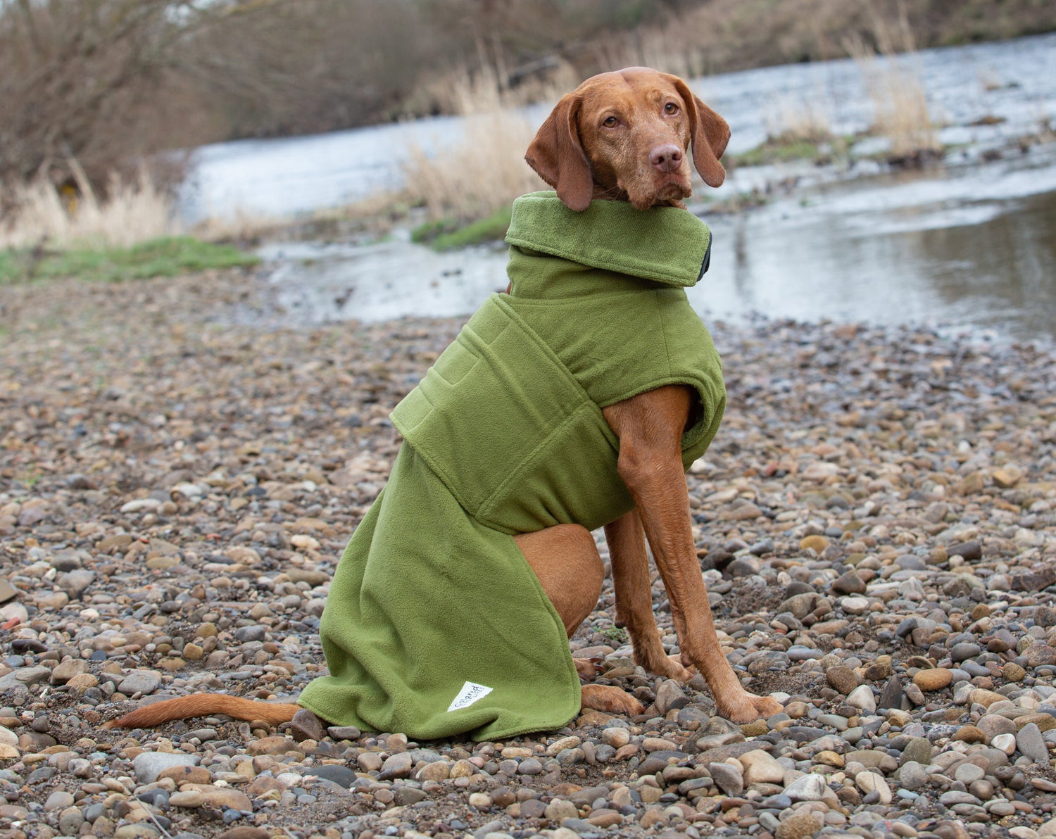Dog Coats UK – Stylish, Waterproof & Drying Coats for All Seasons