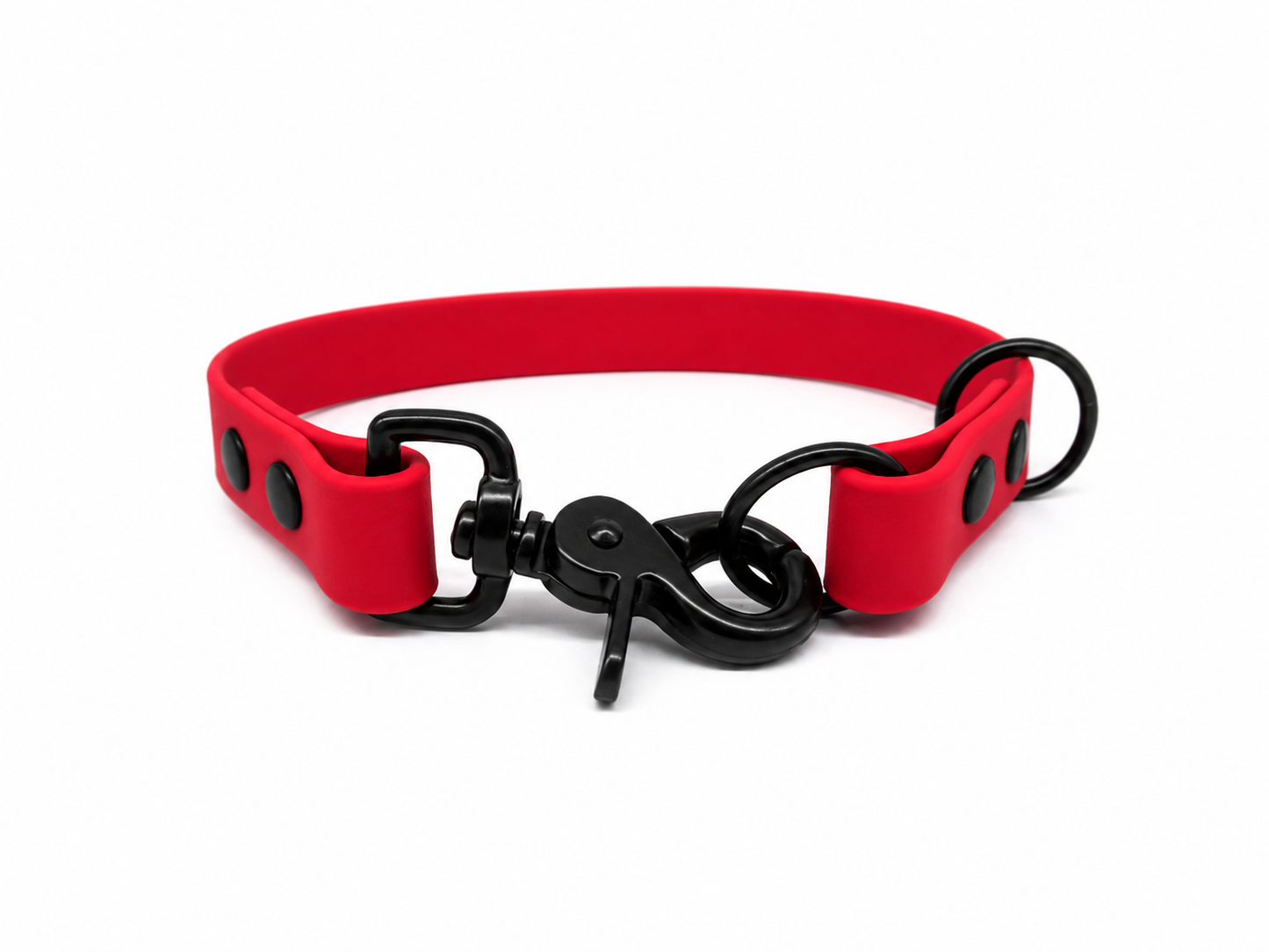 Red Waterproof Biothane Slip Dog Collar