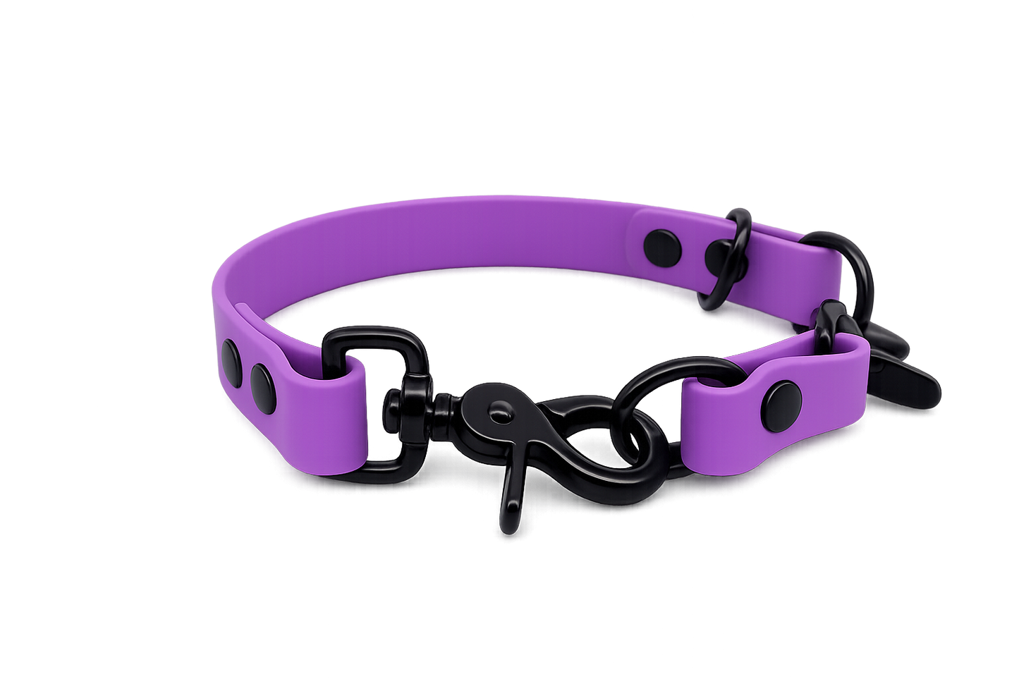 Amethyst Waterproof Biothane Slip Dog Collar