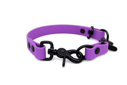 Amethyst Waterproof Biothane Slip Dog Collar
