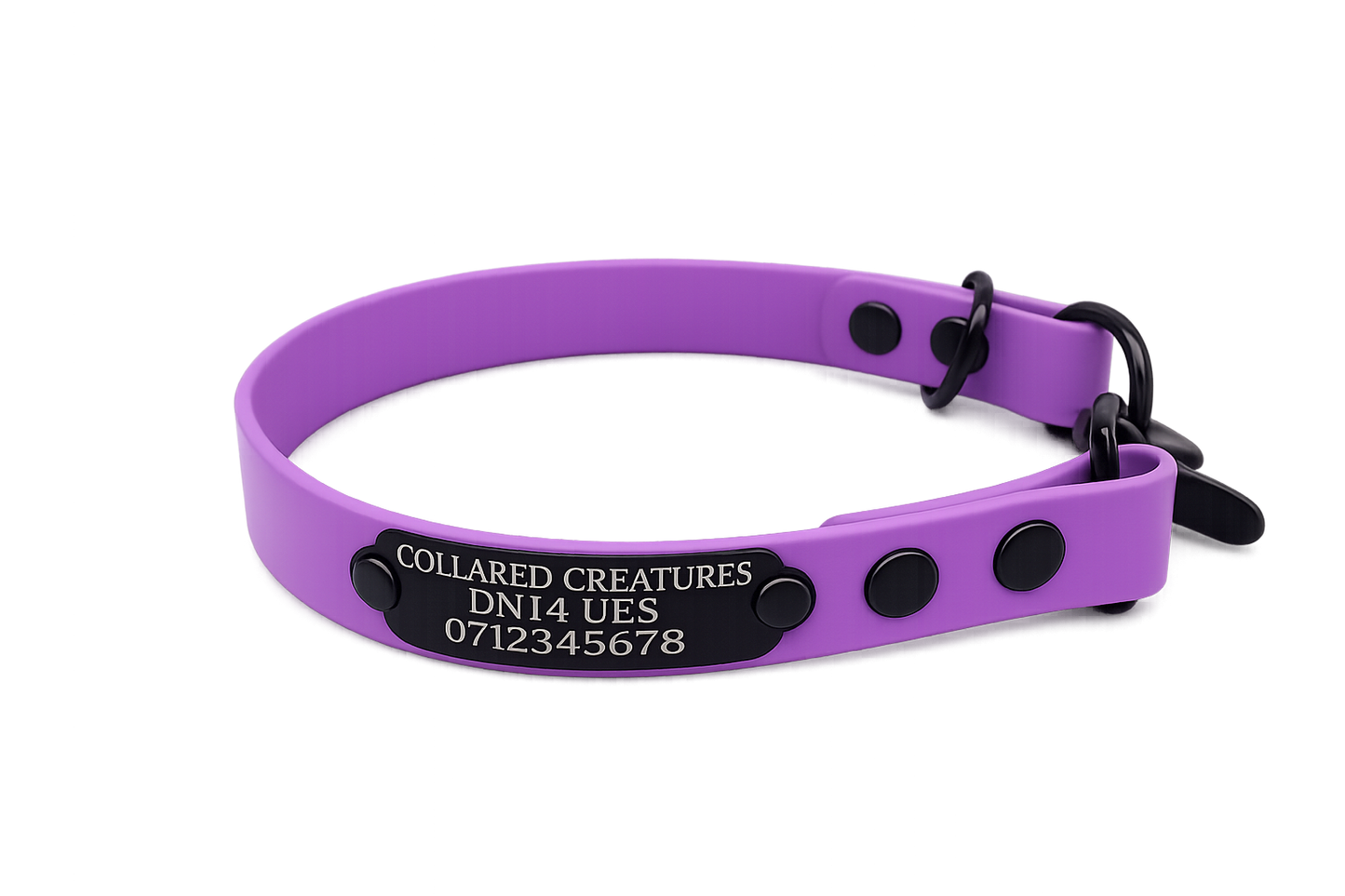 Amethyst Waterproof Biothane Slip Dog Collar
